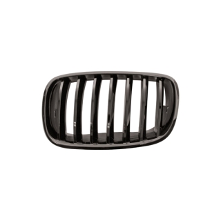 Kühlergrill Kühlergitter Grill links passt für BMW X5 M E70 Baujahr 2007-2010