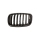 Kühlergrill Kühlergitter Grill links passt für BMW X5 M E70 Baujahr 2007-2010