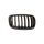 Kühlergrill Kühlergitter Grill rechts passt für BMW X5 M E70 Baujahr 2007-2010