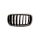 Kühlergrill Kühlergitter Grill links passt für BMW X5 F15 F85 Baujahr 2013-2018