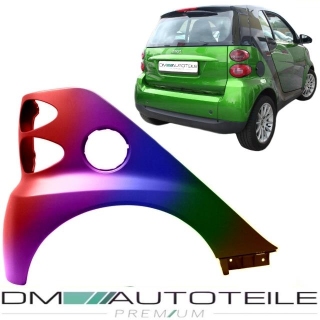 Smart Fortwo Coupe Convertible 451 Rear Right Wing Panel EU